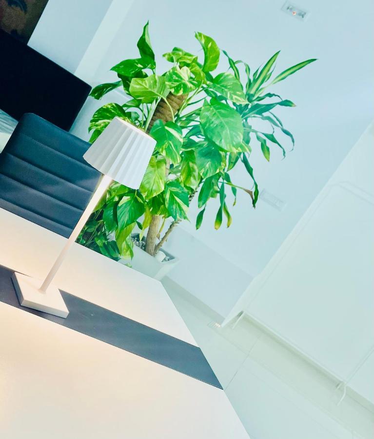 Loft Terracina Villa Екстериор снимка
