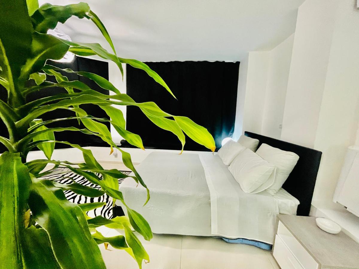 Loft Terracina Villa Екстериор снимка